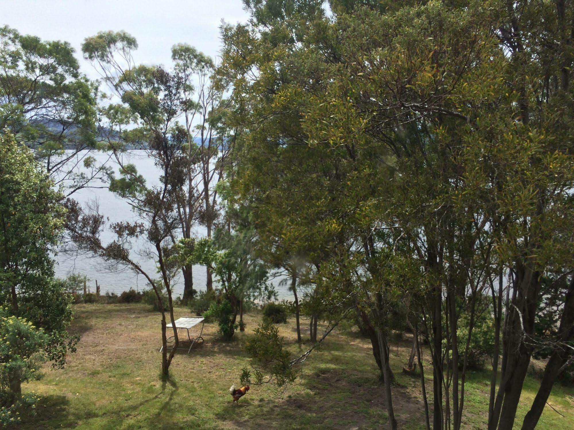 Tranquil Point Guest House Cygnet Exterior photo